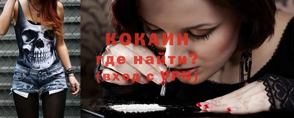 кокс Алексин