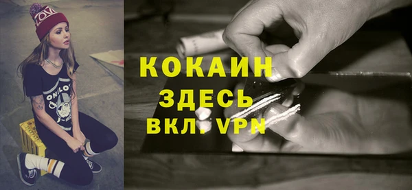 кокс Алексин